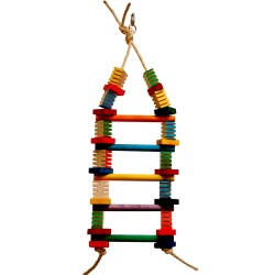 Groovy Ladder - Échelle Perroquet