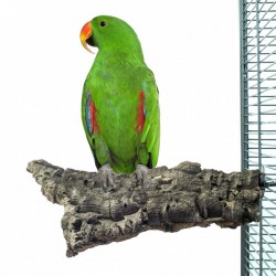 Corky Chew Large - Plateforme en liège pour perroquet