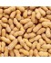 Vadigran - Arachides Non Pelées (Cacahuètes en Coque) - 300 gr