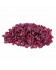 Zoofaria - Cranberries Séchées - Friandises pour Oiseaux - 50 gr